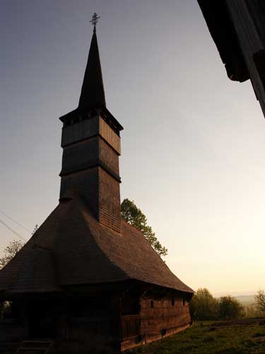 Foto Lumina blanda a diminetii (c) Petru Goja